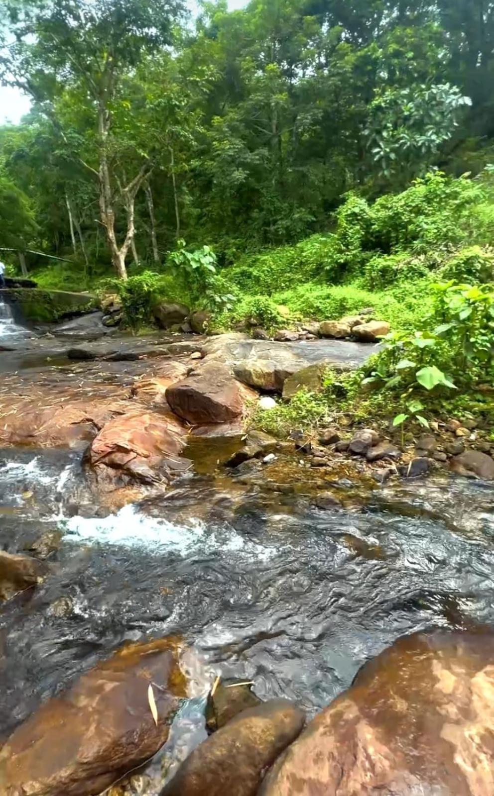 Nest Resorts Athirappilly Zewnętrze zdjęcie