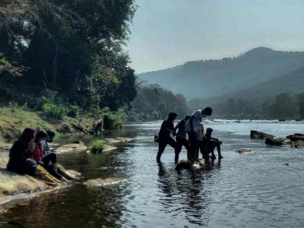 Nest Resorts Athirappilly Zewnętrze zdjęcie
