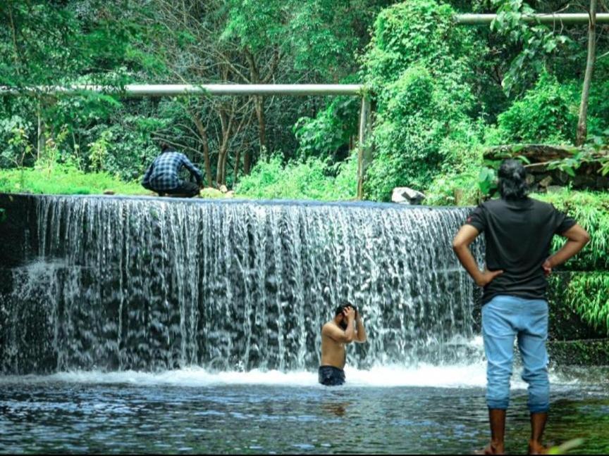 Nest Resorts Athirappilly Zewnętrze zdjęcie