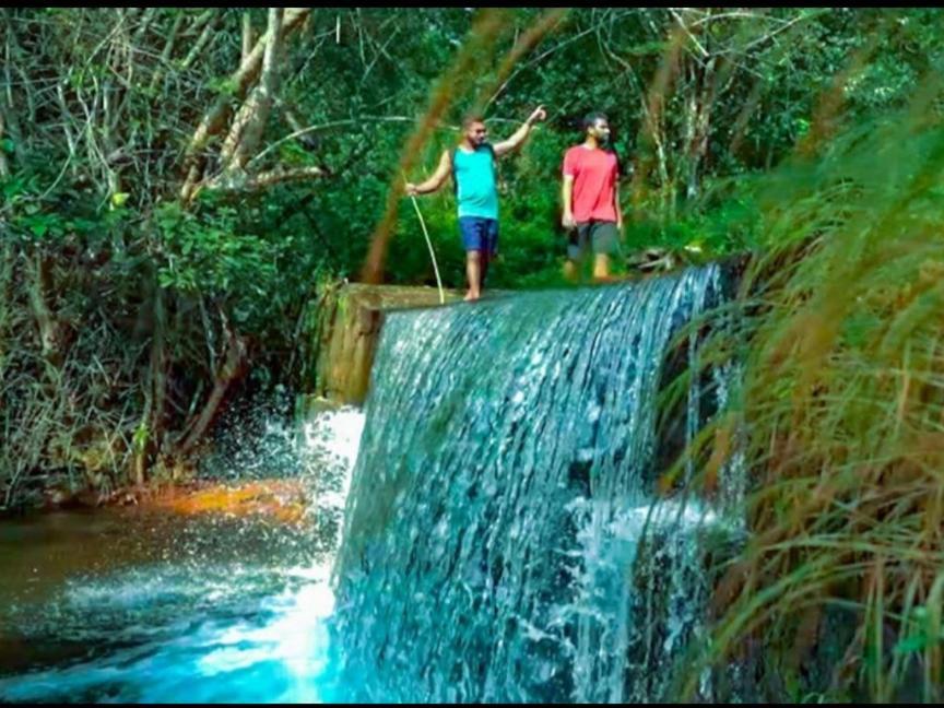 Nest Resorts Athirappilly Zewnętrze zdjęcie