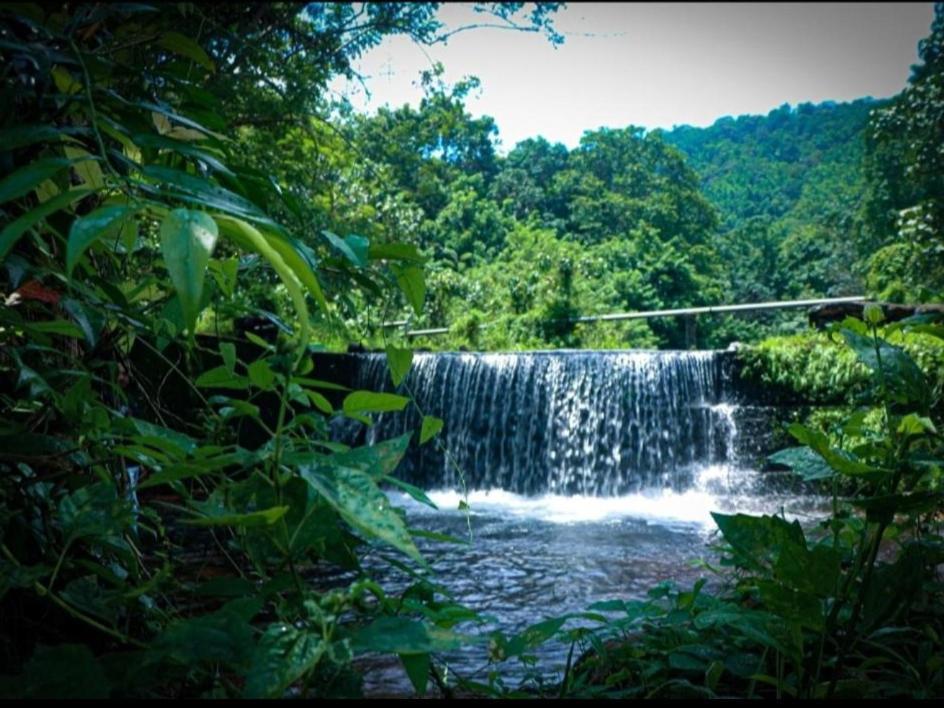 Nest Resorts Athirappilly Zewnętrze zdjęcie
